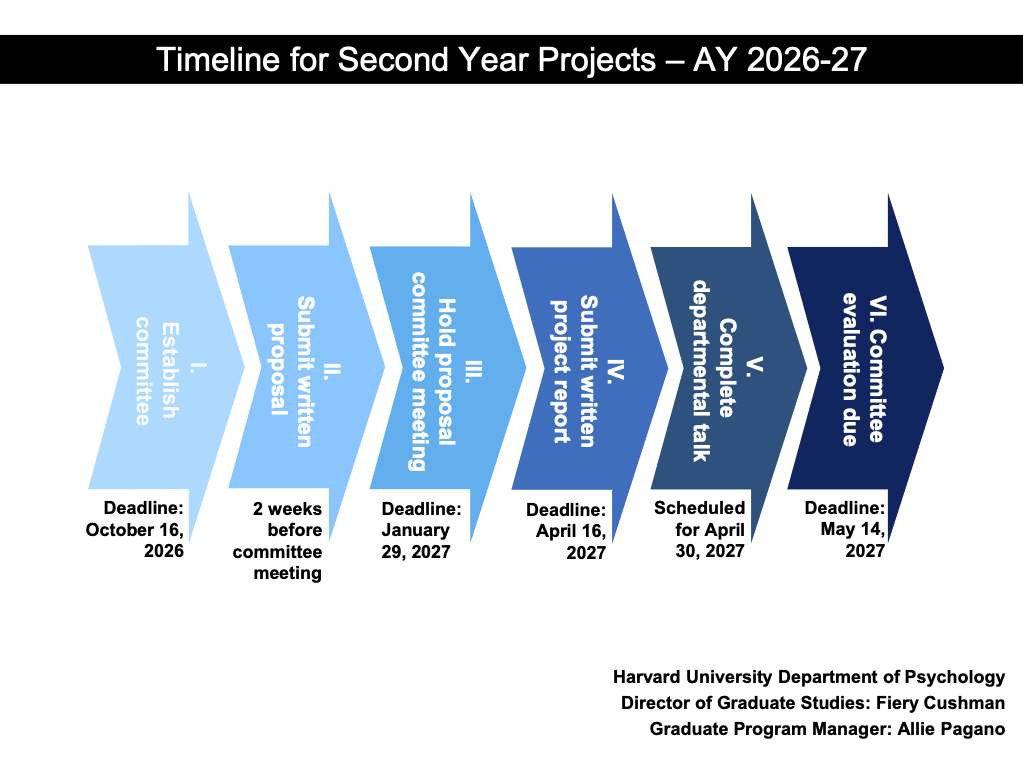 Chart indicating Second Year Project Timeline